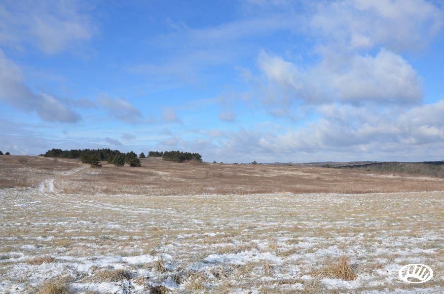 49 acres in Clarion County, Pennsylvania