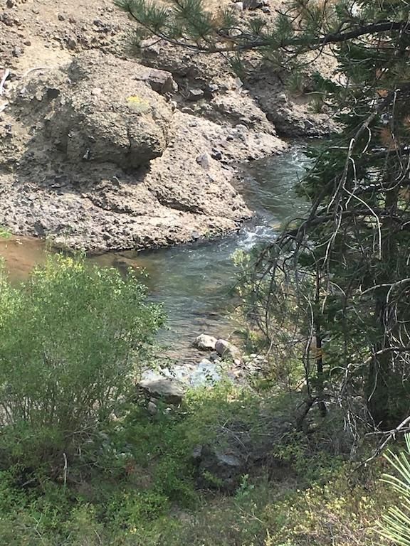 40 acres in Alpine County, California