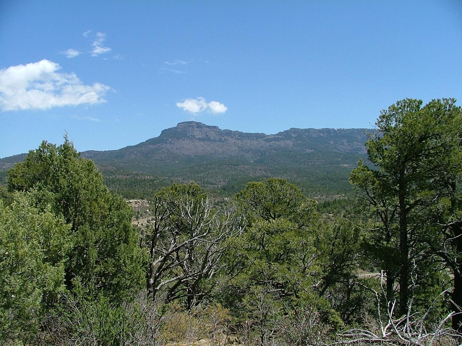 36 acres in Las Animas County, Colorado