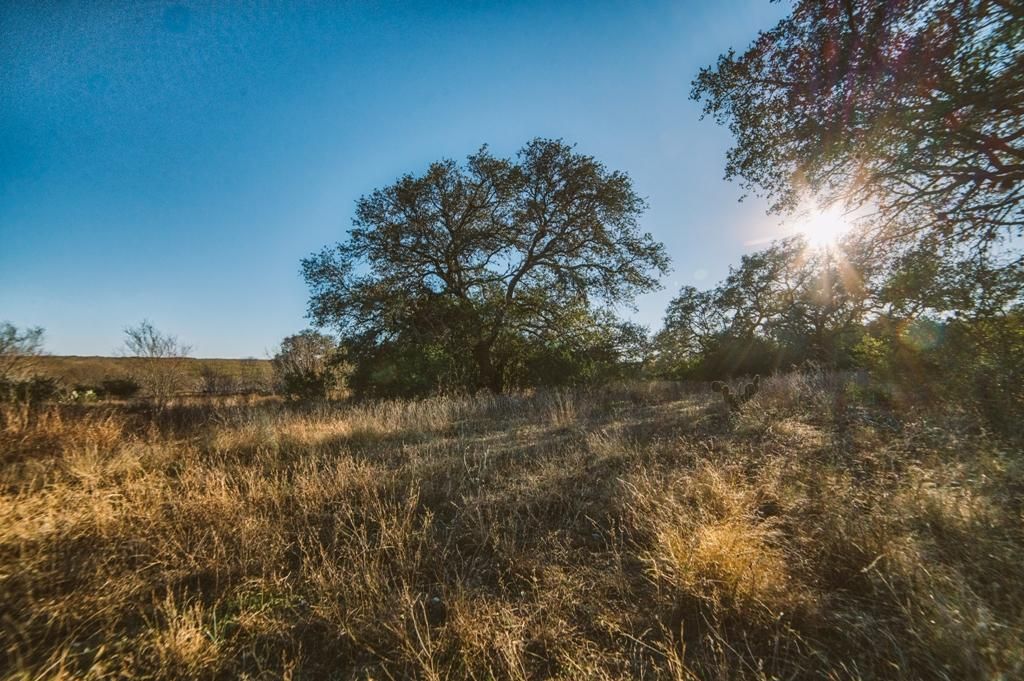 1,280 acres in Bee County, Texas