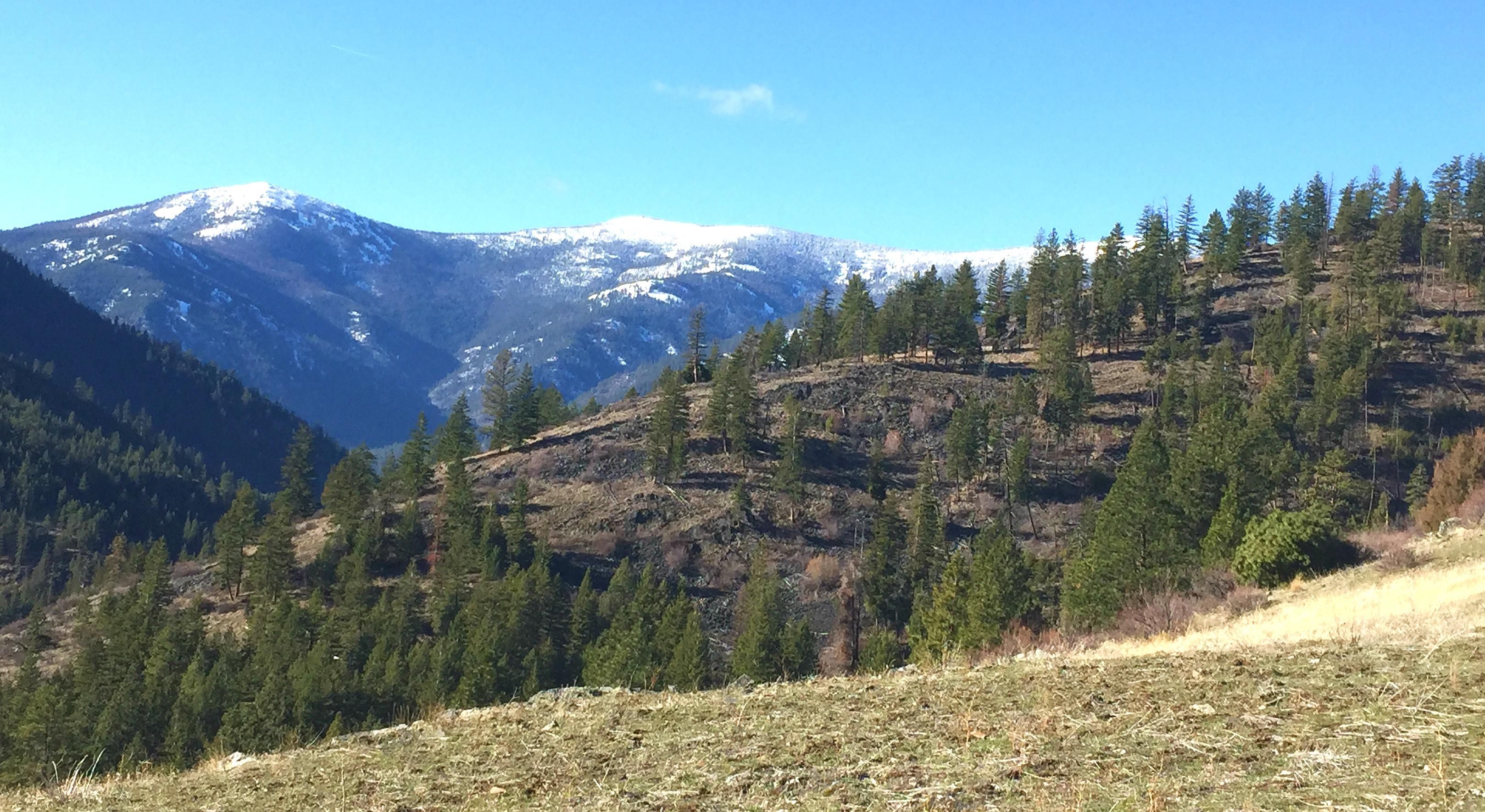 240 acres in Sanders County, Montana