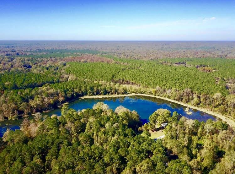 228 acres in Wilkinson County, Mississippi