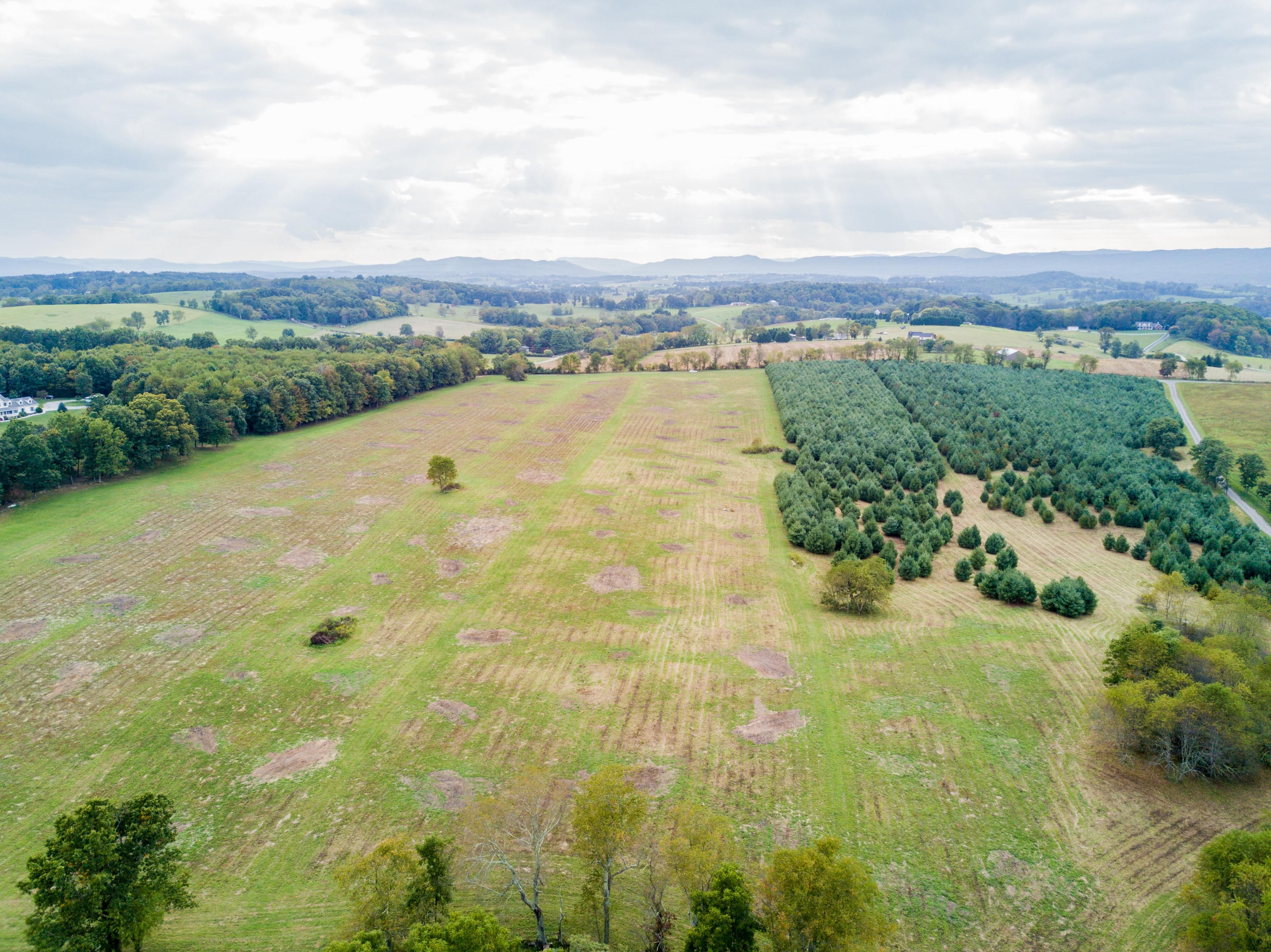 50 acres in Pulaski County, Virginia