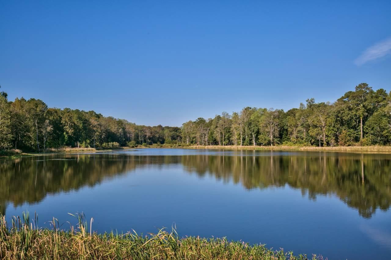 240 acres in Grady County,