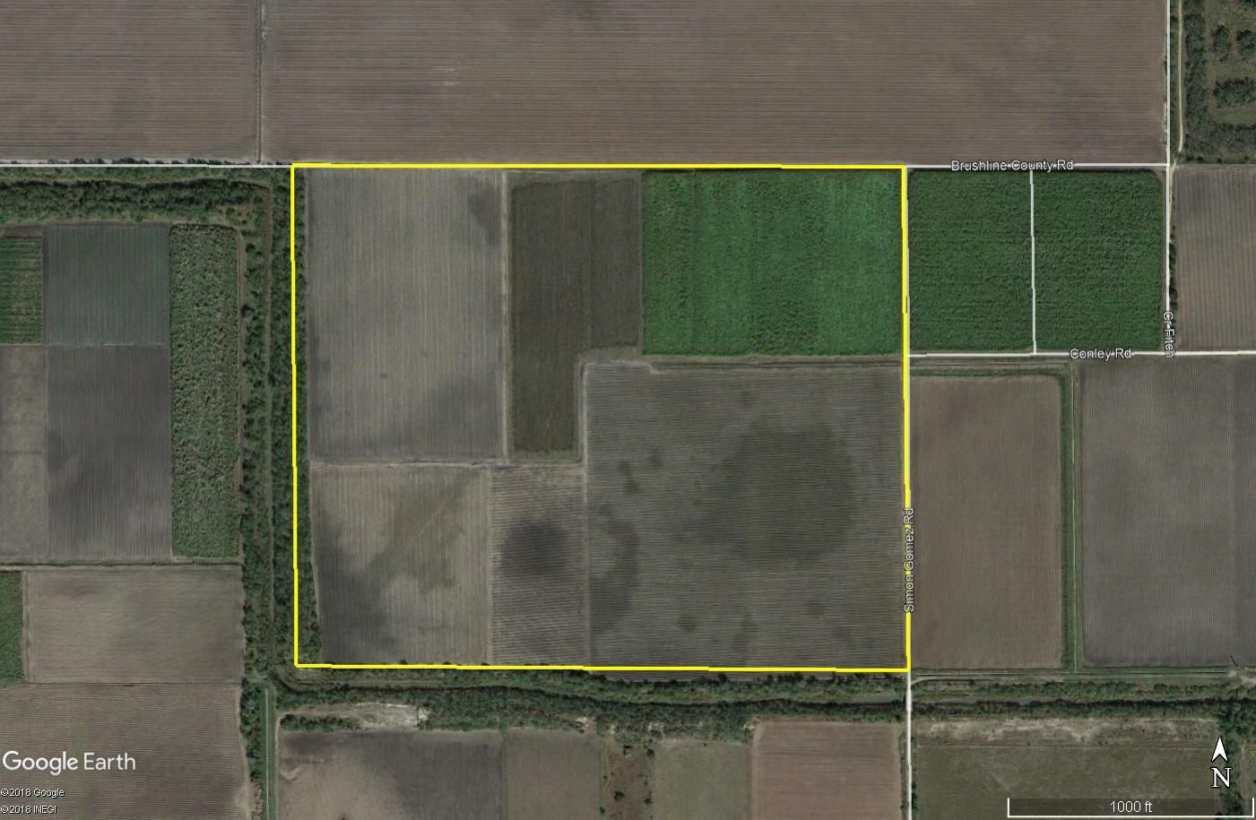 111 acres in Willacy County, Texas