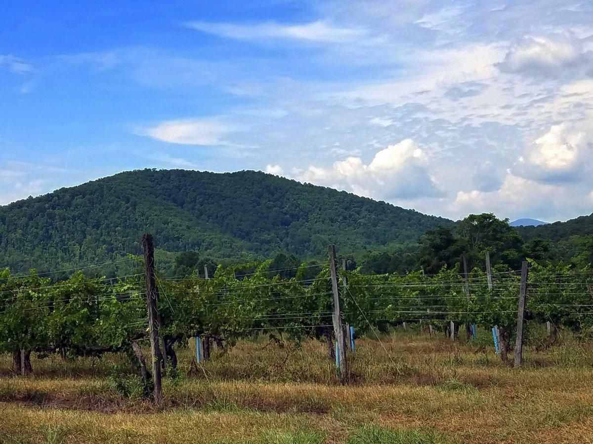 45 acres in Greene County, Virginia