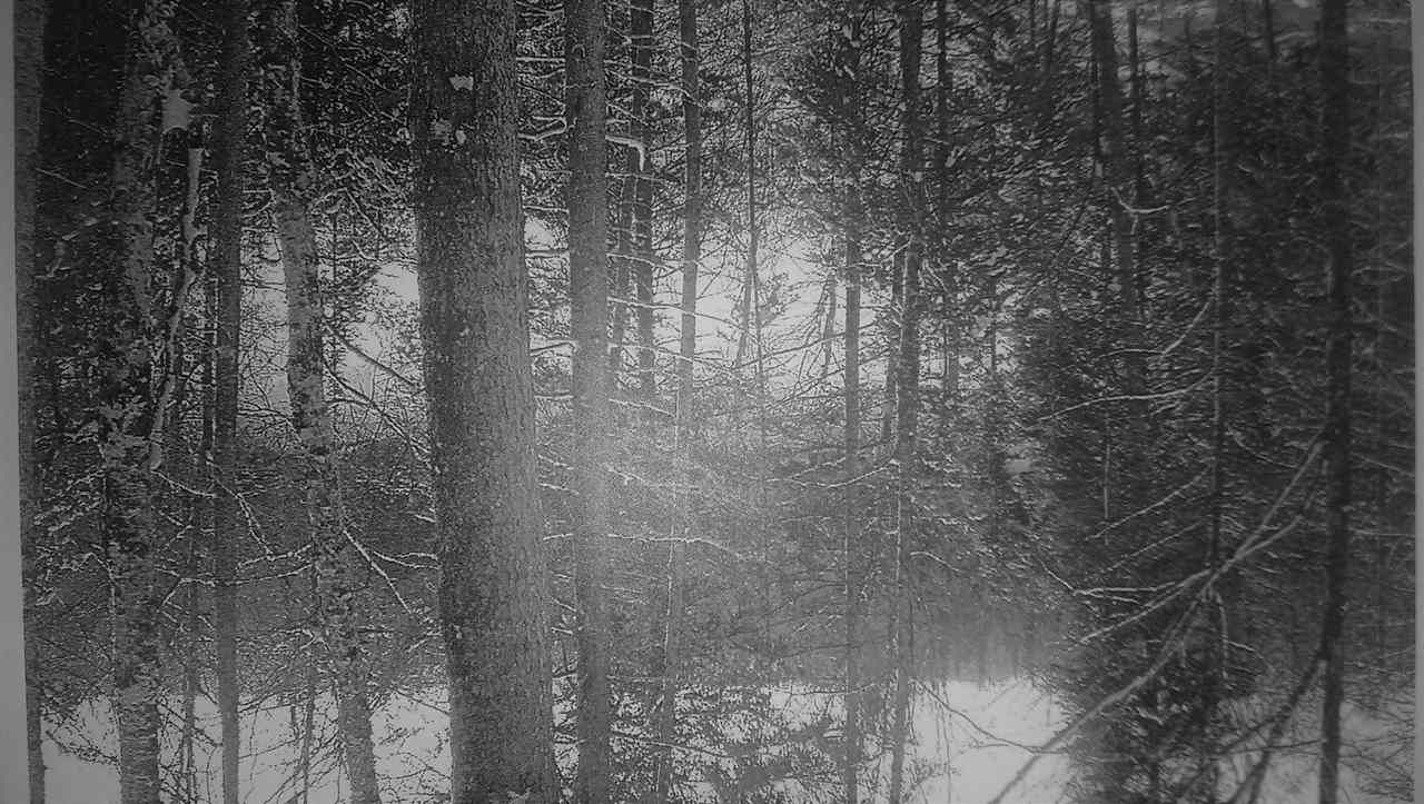 18 acres in Iron County, Michigan