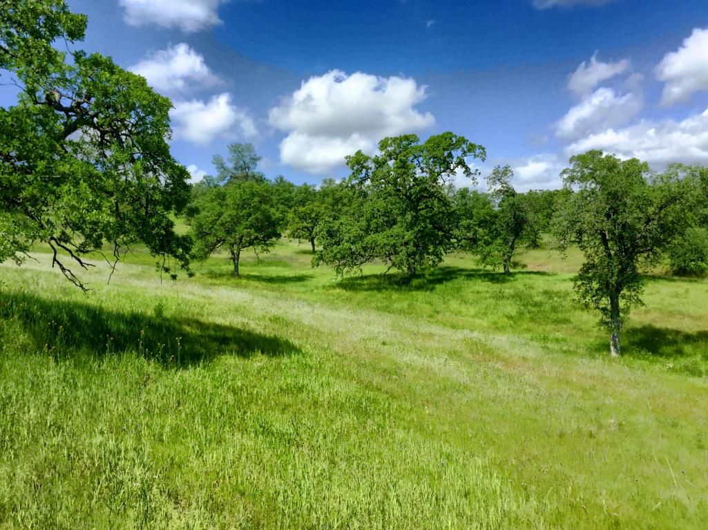 40 acres in Shasta County, California