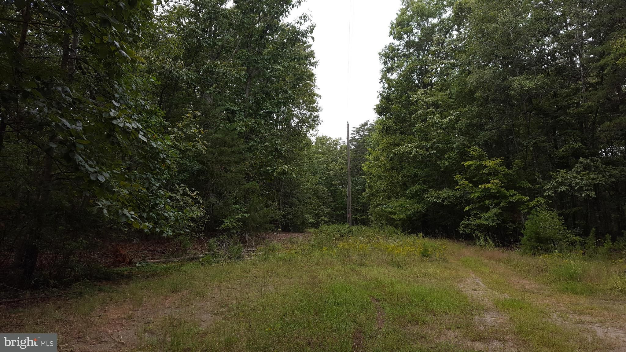 5 acres in Spotsylvania County, Virginia