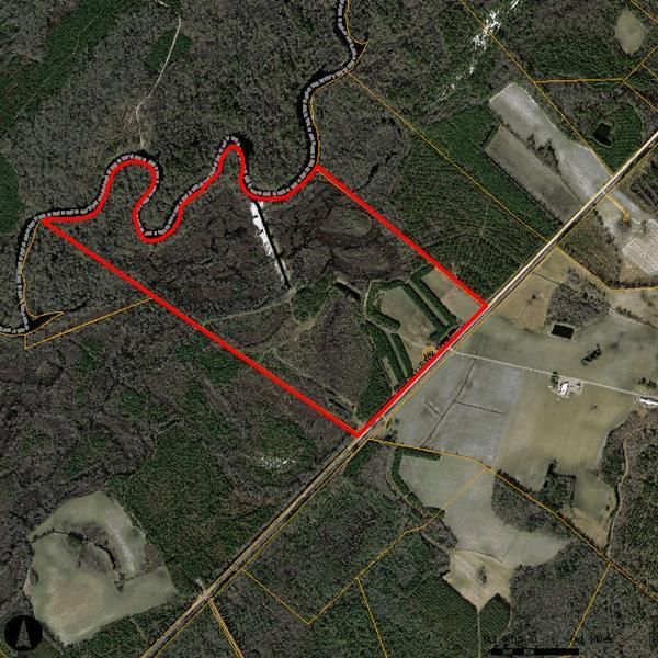191 acres in Dillon County, South Carolina