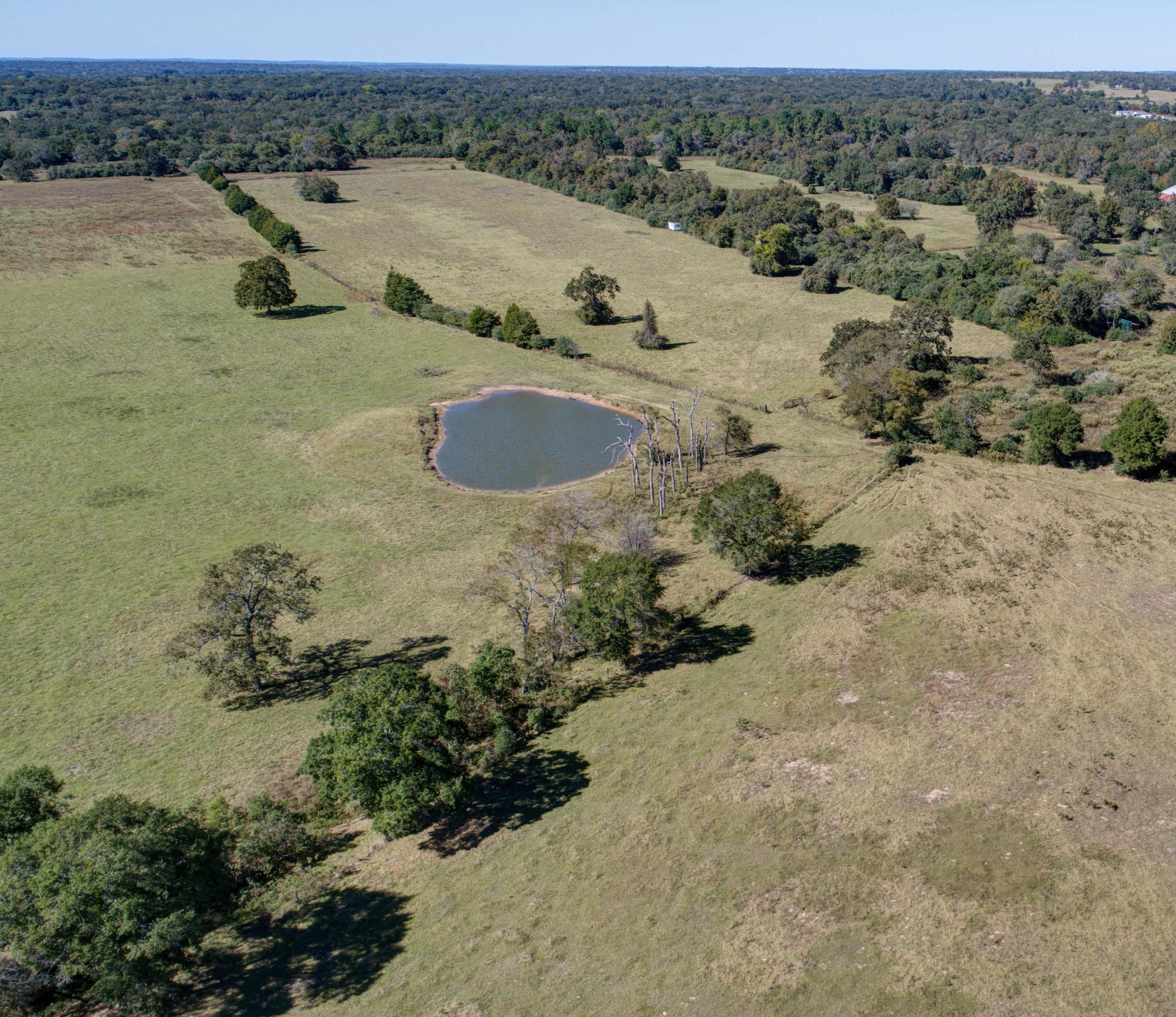 51 acres in Leon County, Texas