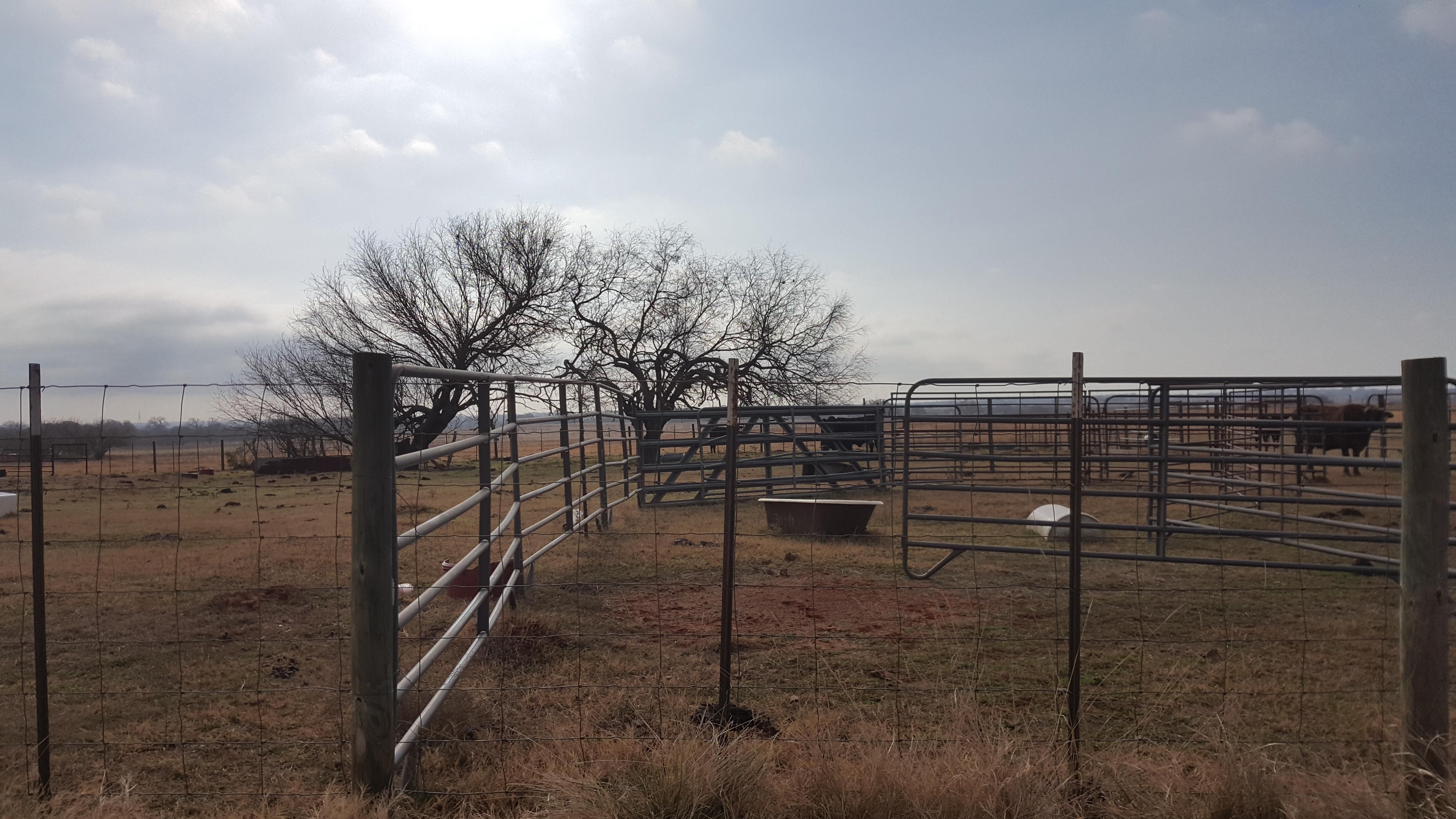 42.9 acres in Wilson County, Texas