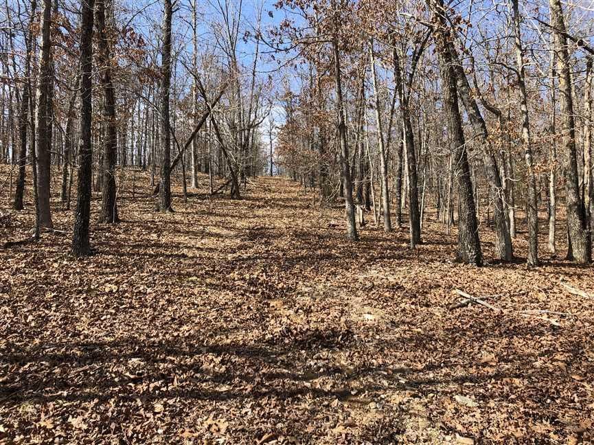 15 acres in Sharp County, Arkansas