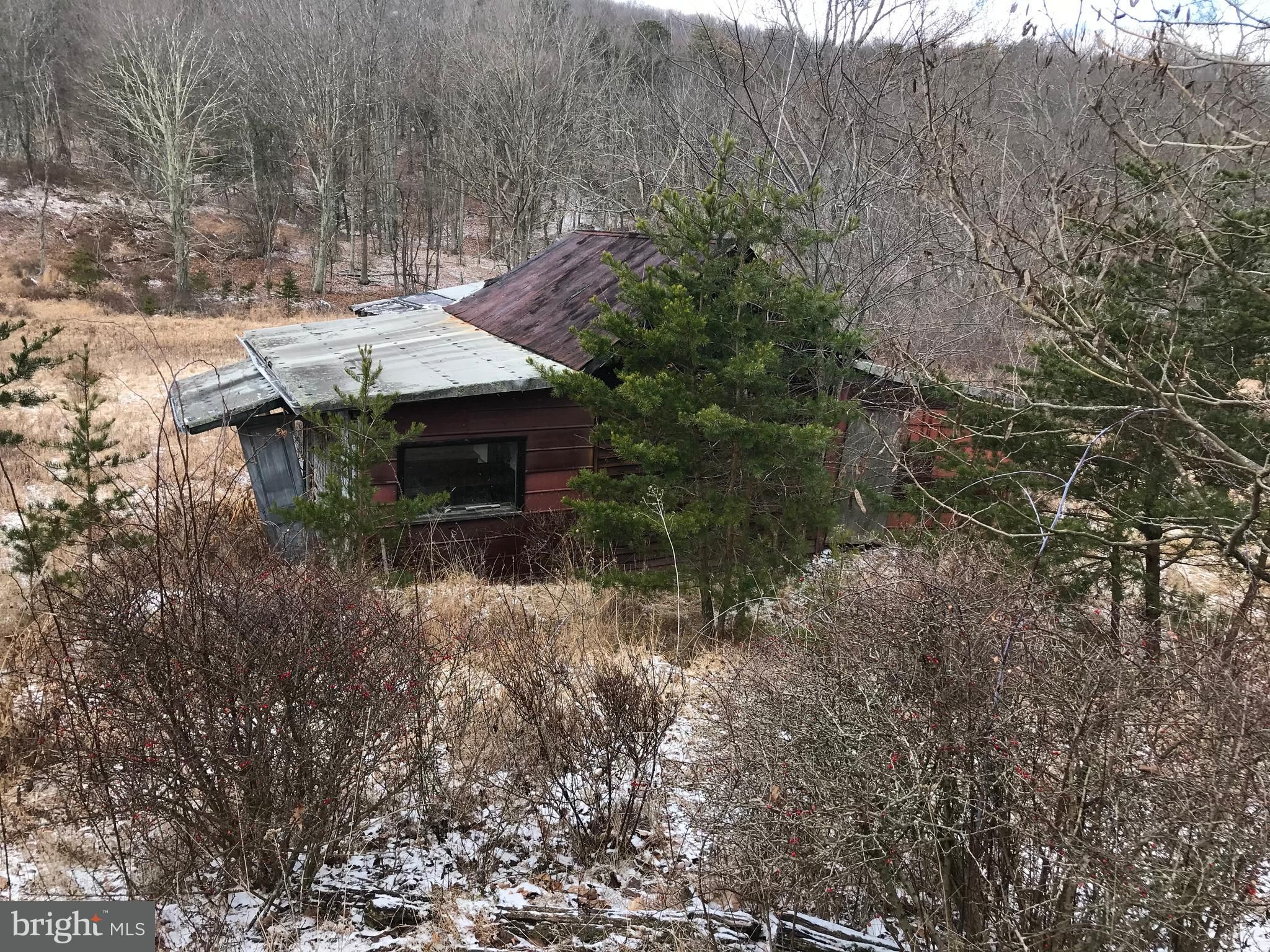 17.19 acres in Hardy County, West Virginia