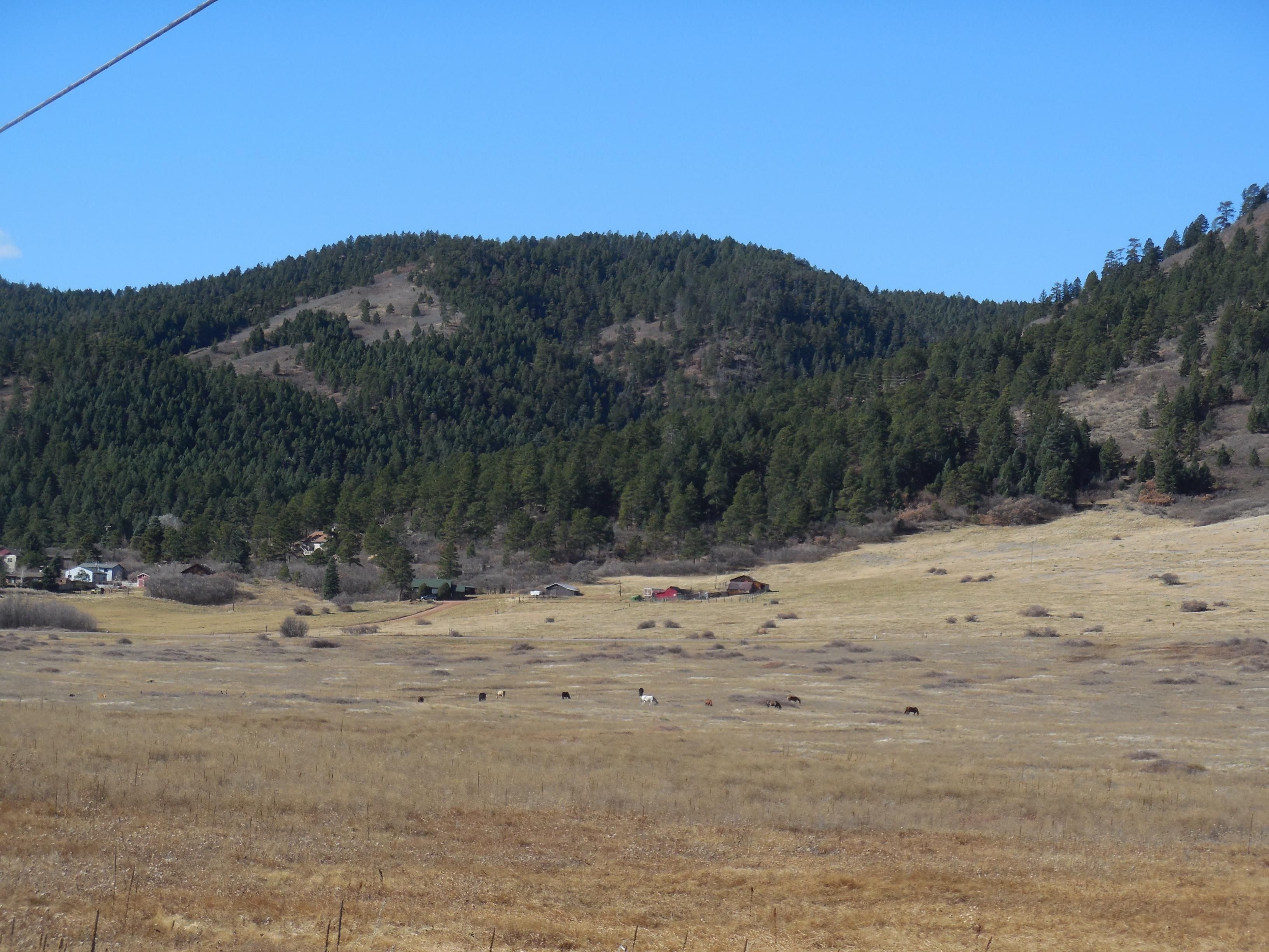 36.38 acres in Douglas County, Colorado