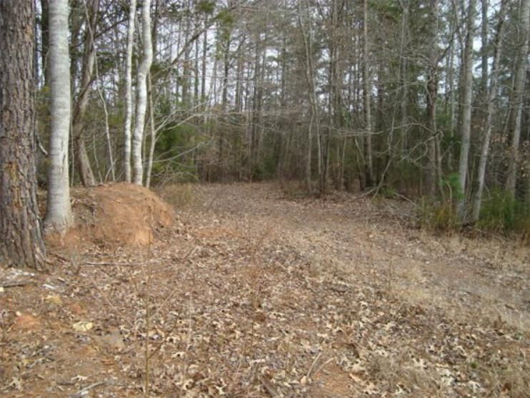 15 acres in Chester County, South Carolina