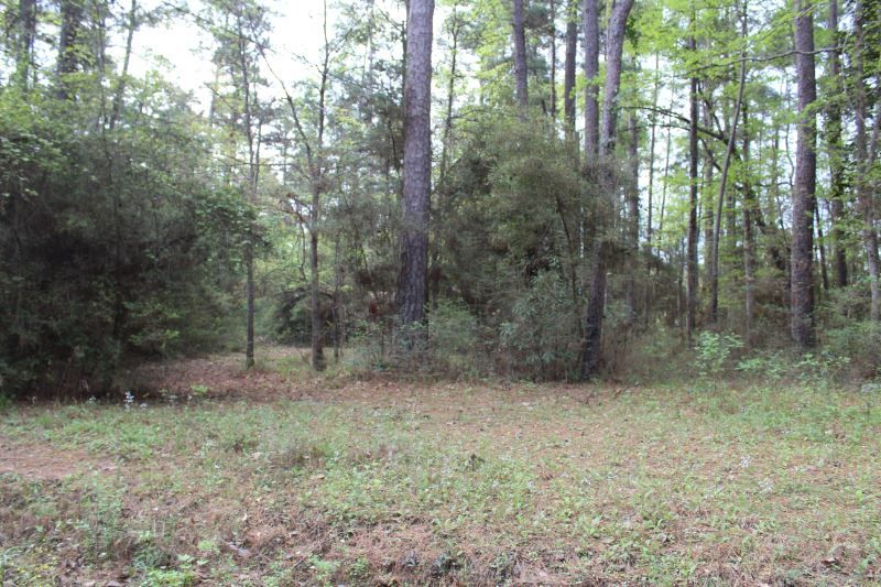 1.17 acres in Sabine County, Texas