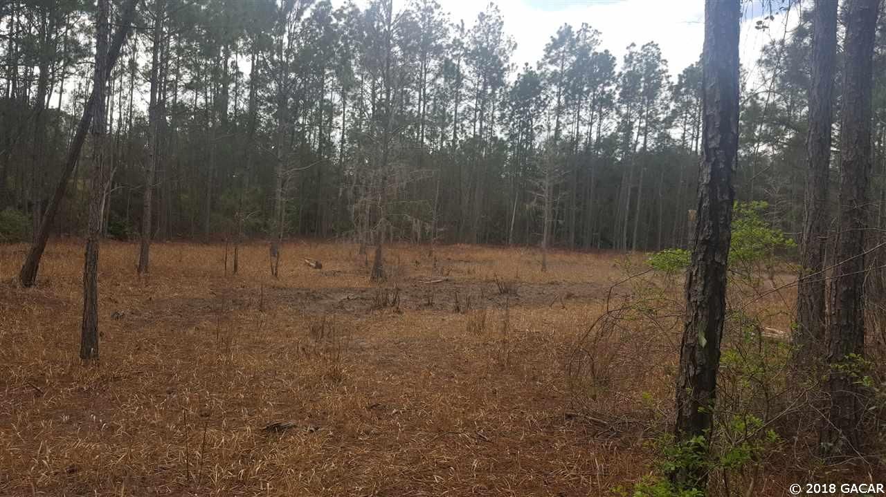 10 acres in Gilchrist County, Florida