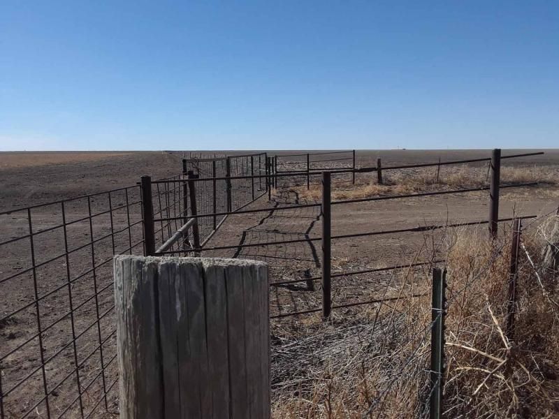 480 acres in Hansford County, Texas