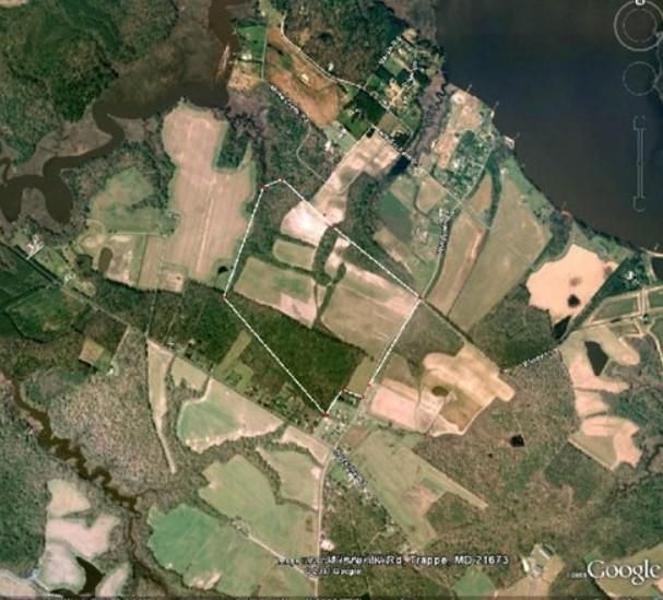 135 acres in Talbot County, Maryland