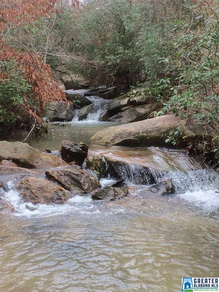 100 acres in Clay County, Alabama