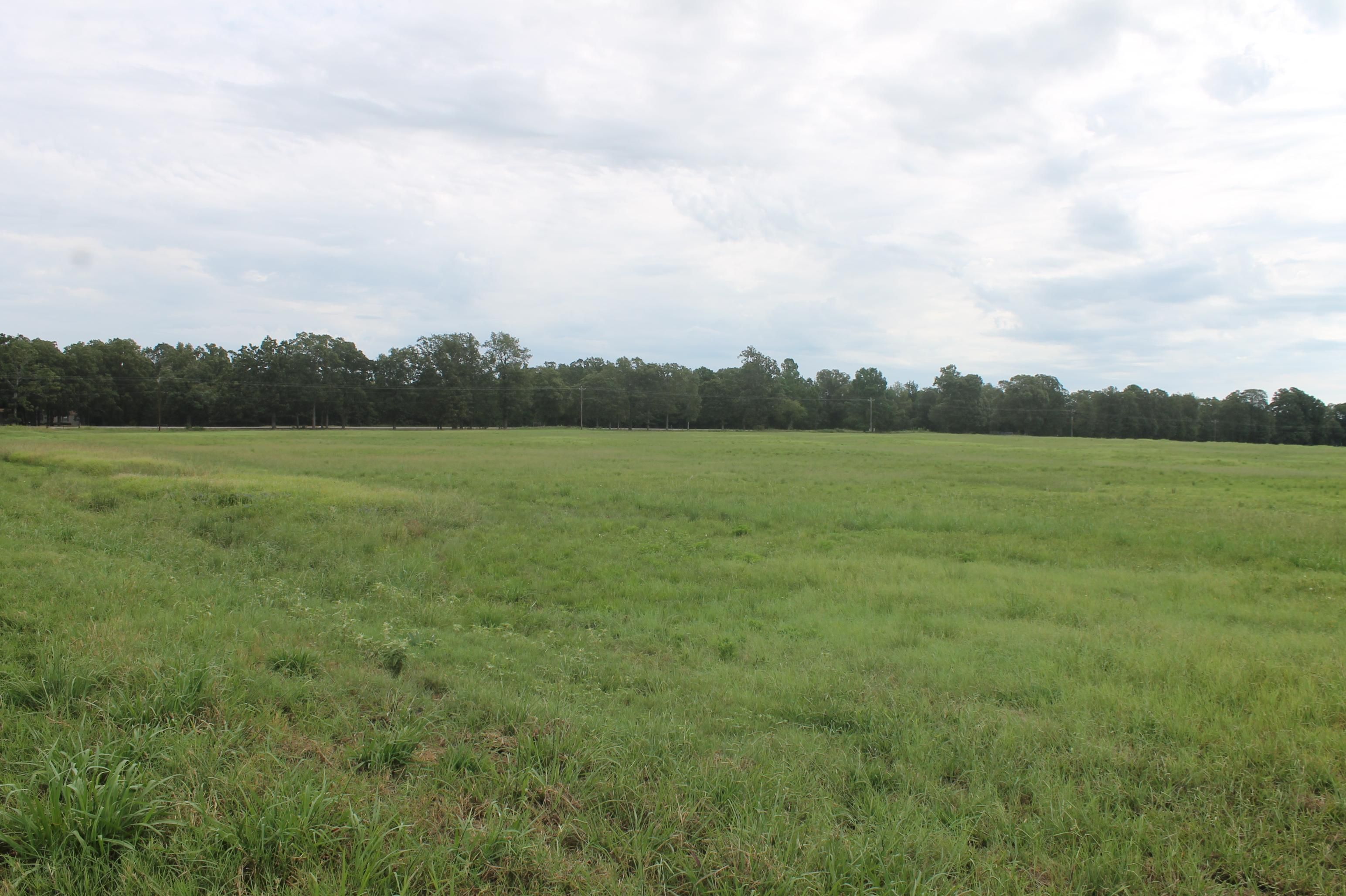133 acres in Red River County, Texas