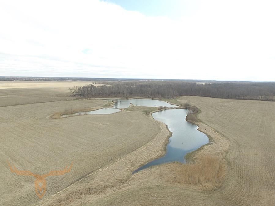 40 acres in Fulton County, Illinois
