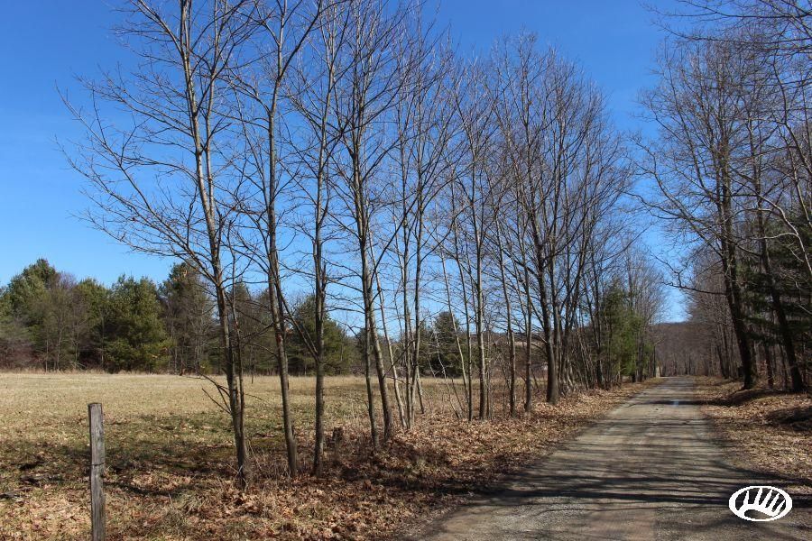 110 acres in Somerset County, Pennsylvania