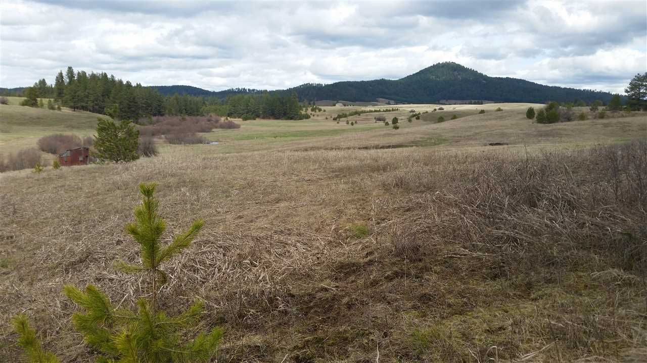 78 acres in Latah County, Idaho