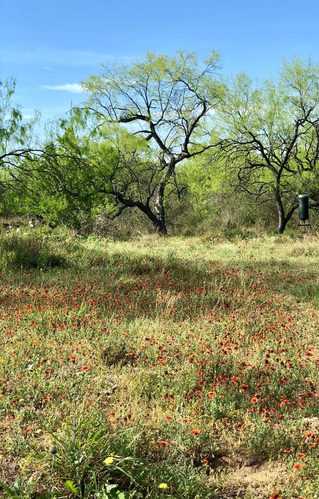 500 acres in Starr County, Texas