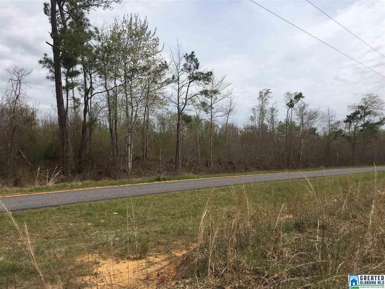 100 acres in Coosa County, Alabama