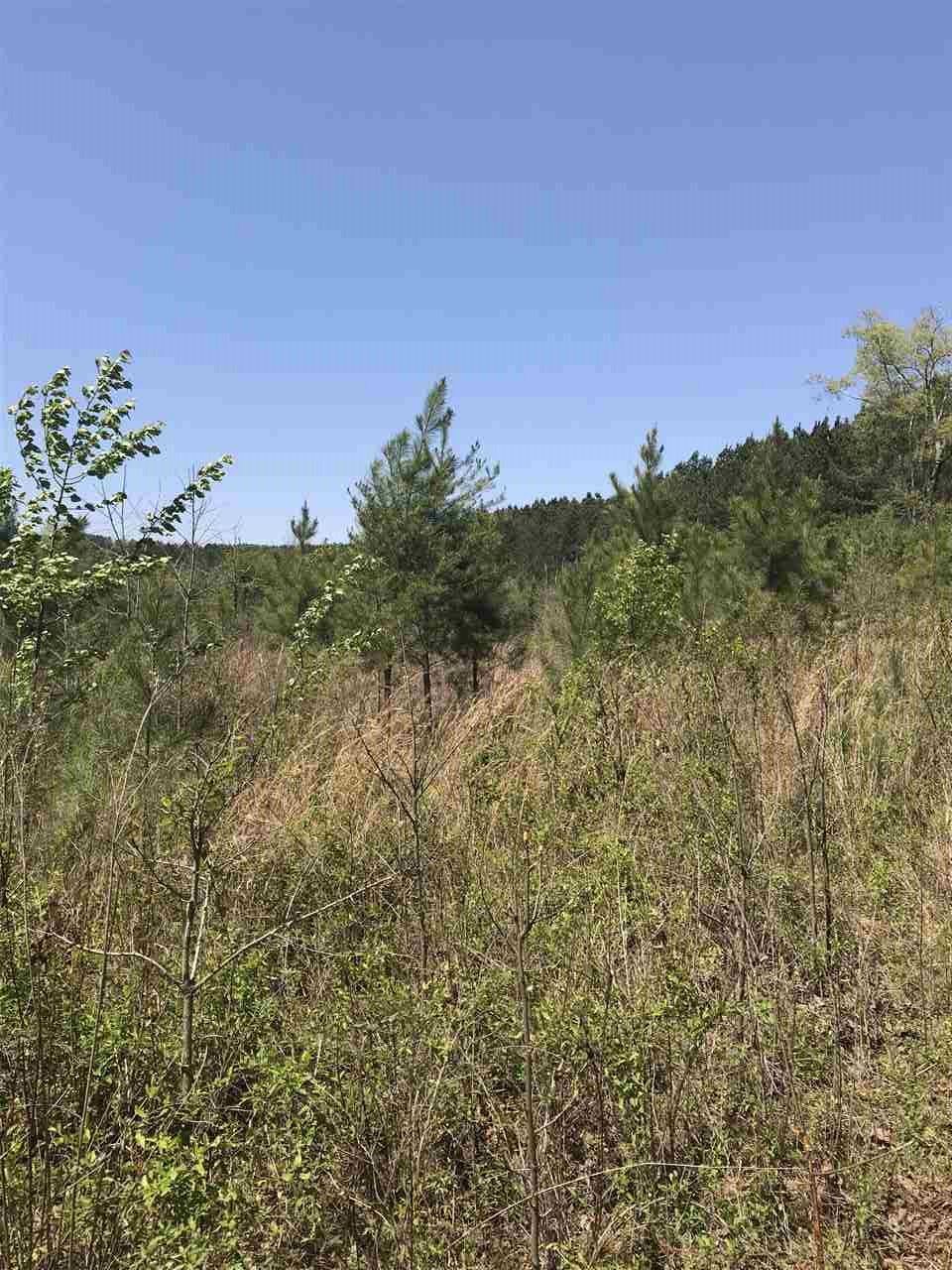 5 acres in McMinn County, Tennessee