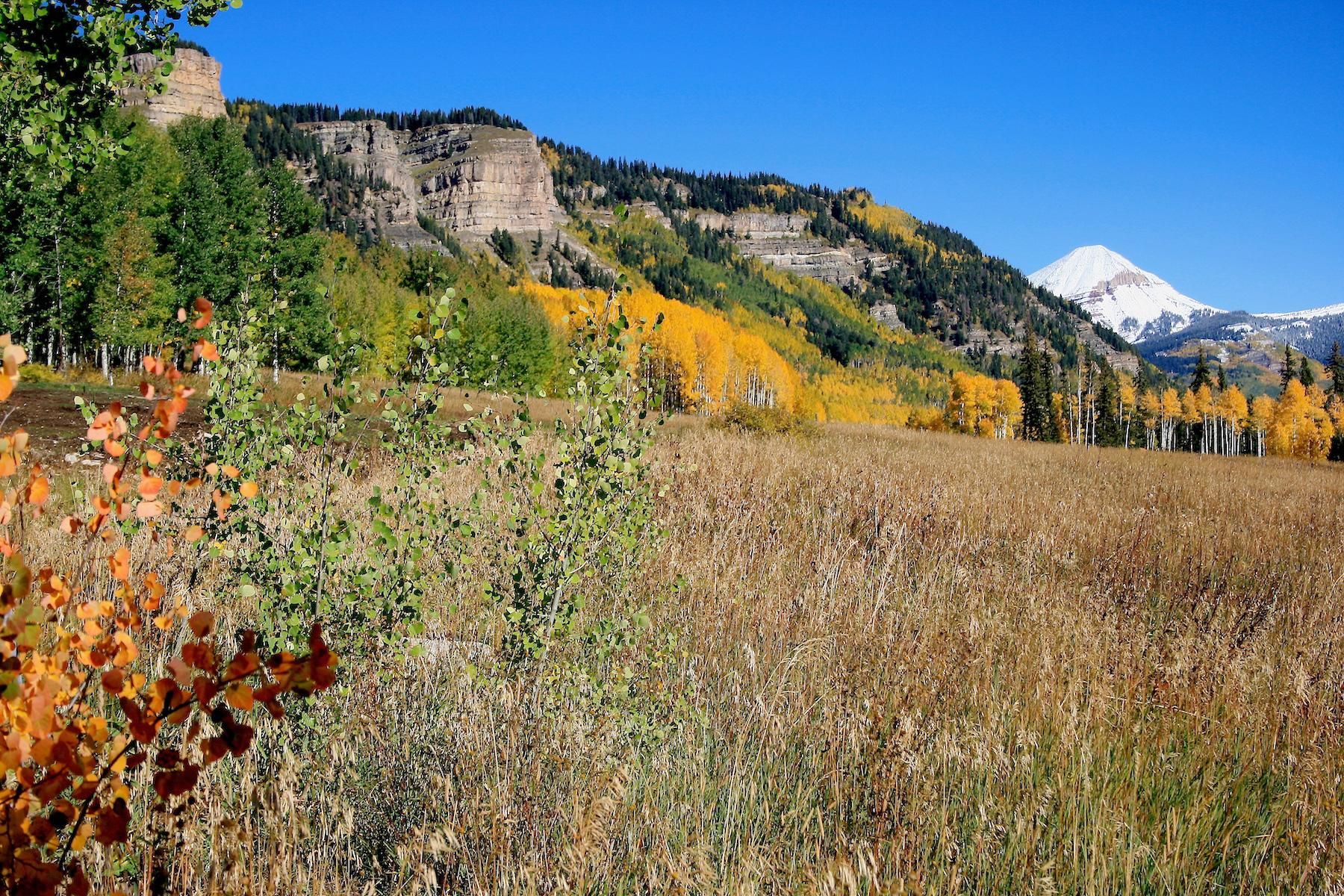 35 acres in La Plata County, Colorado