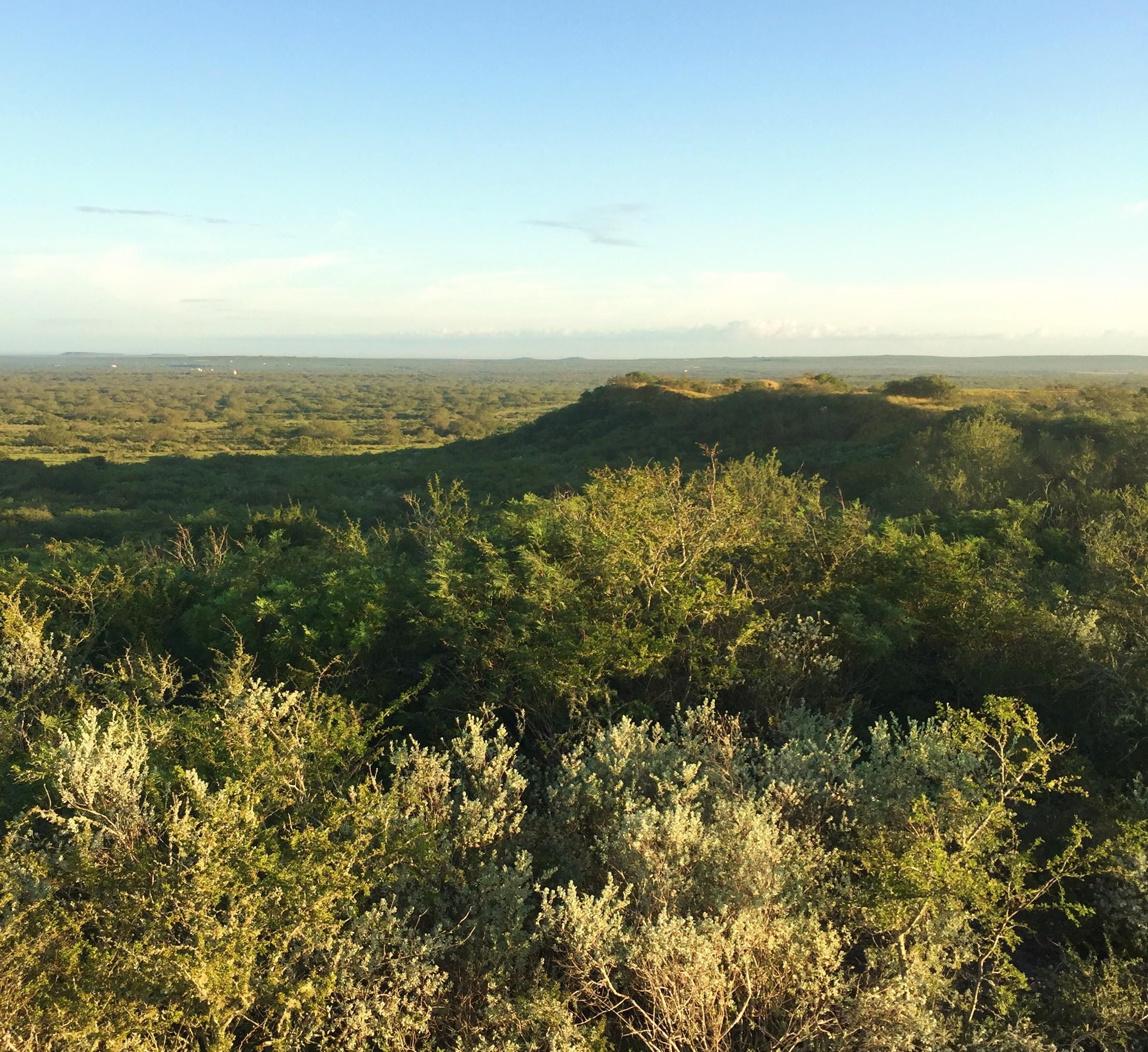 625 acres in Duval County, Texas