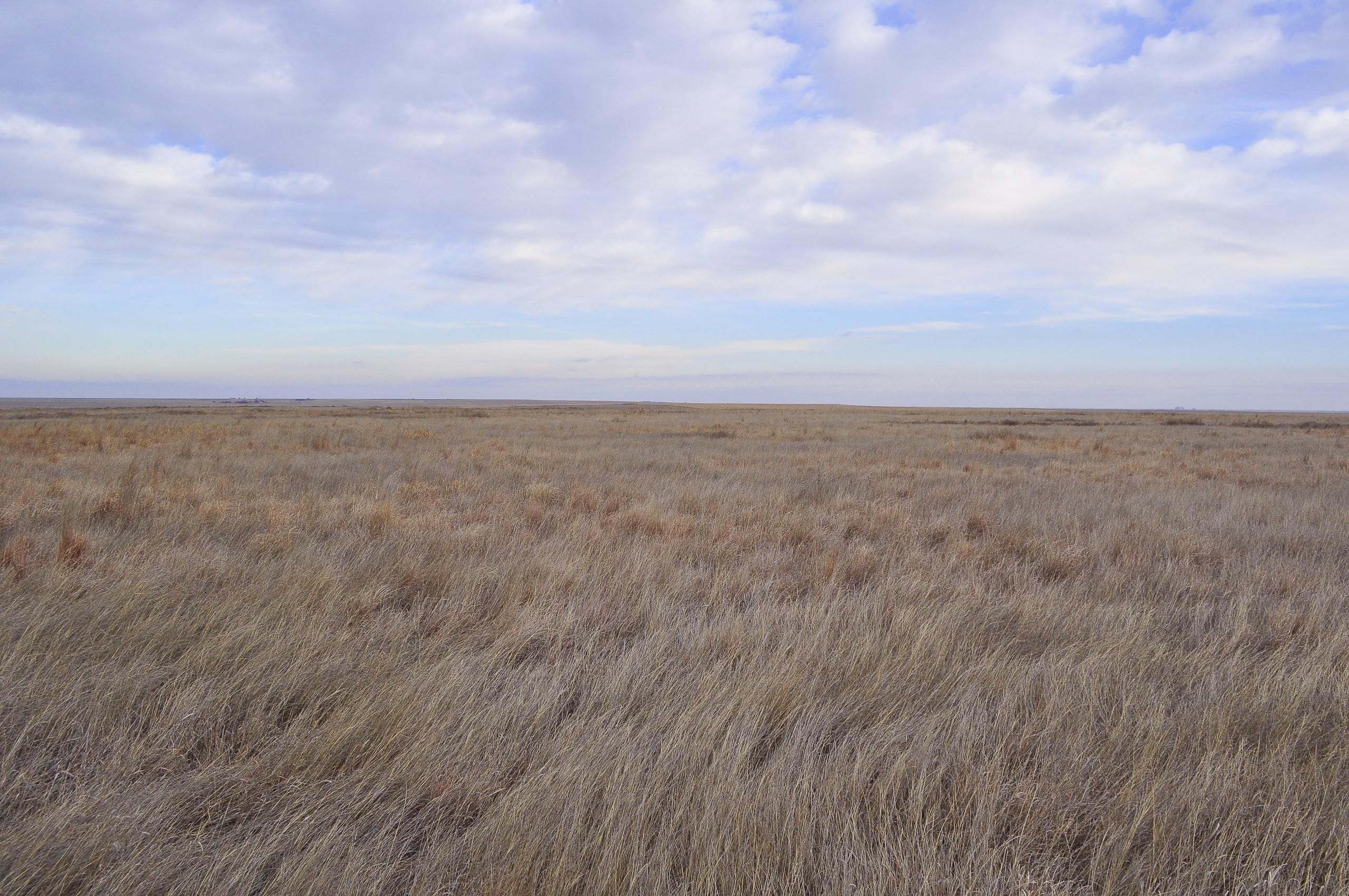 80 acres in Ness County, Kansas