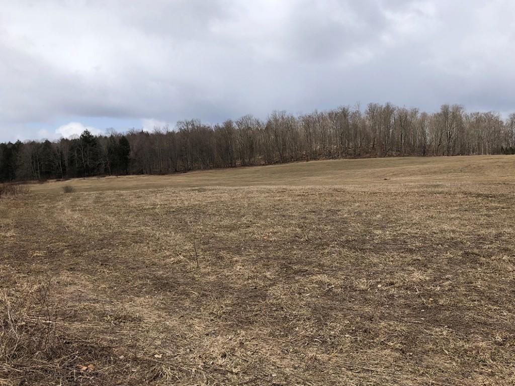 30 acres in Chenango County, New York