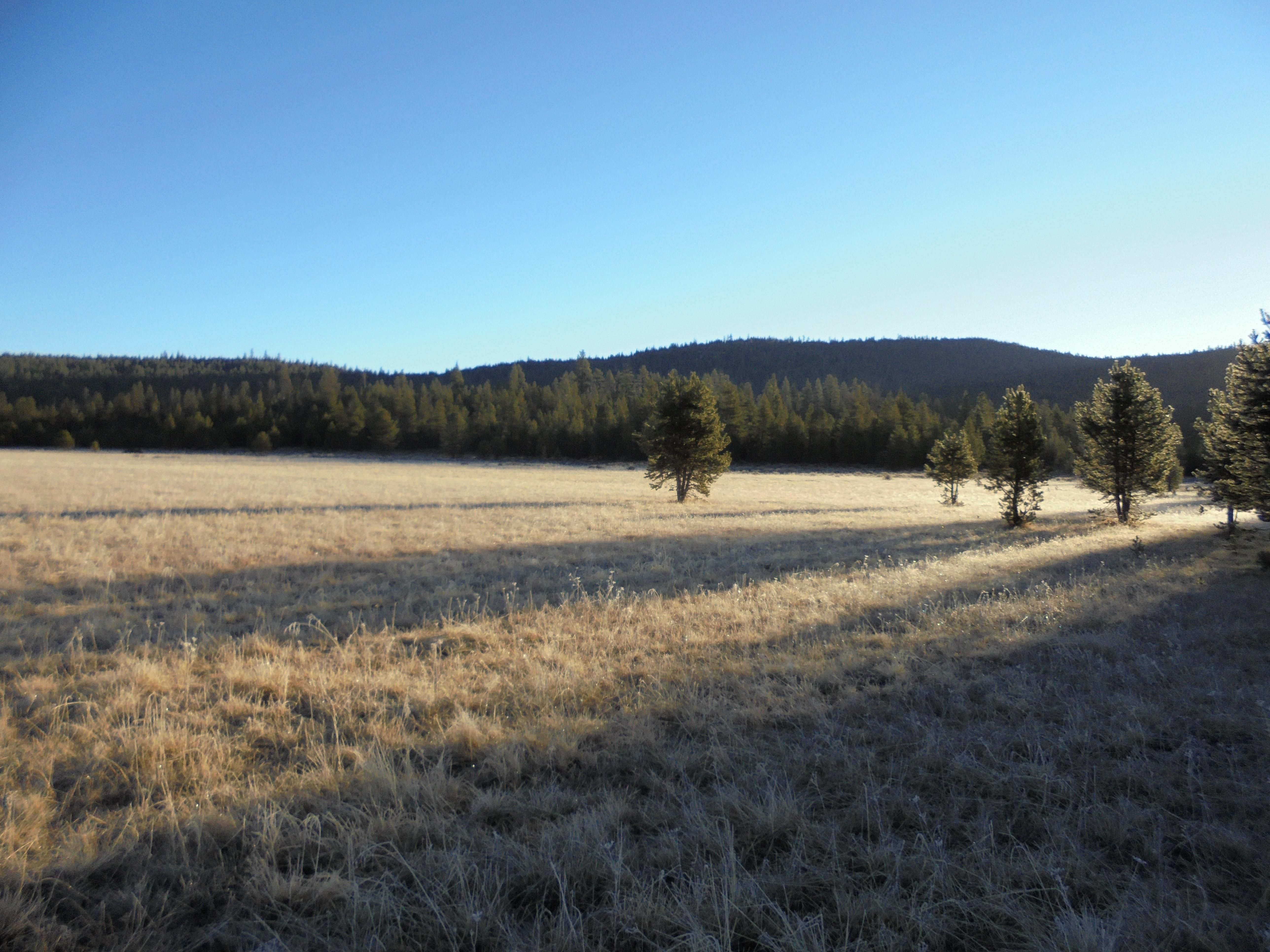 162 acres in Klamath County, Oregon