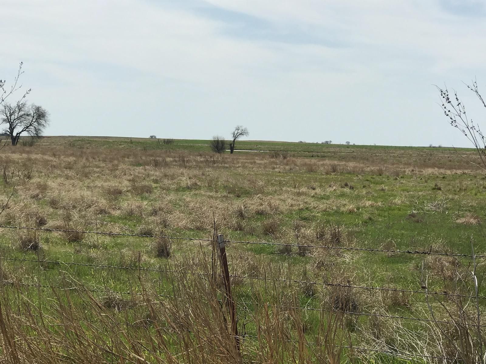 160 acres in Cotton County, Oklahoma