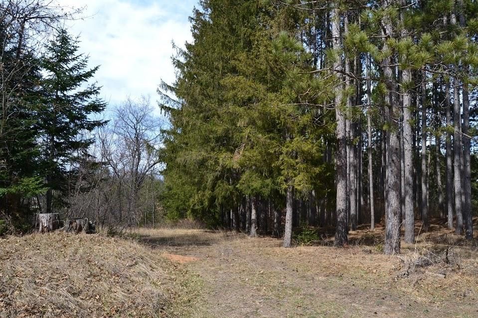 2 acres in County, Wisconsin