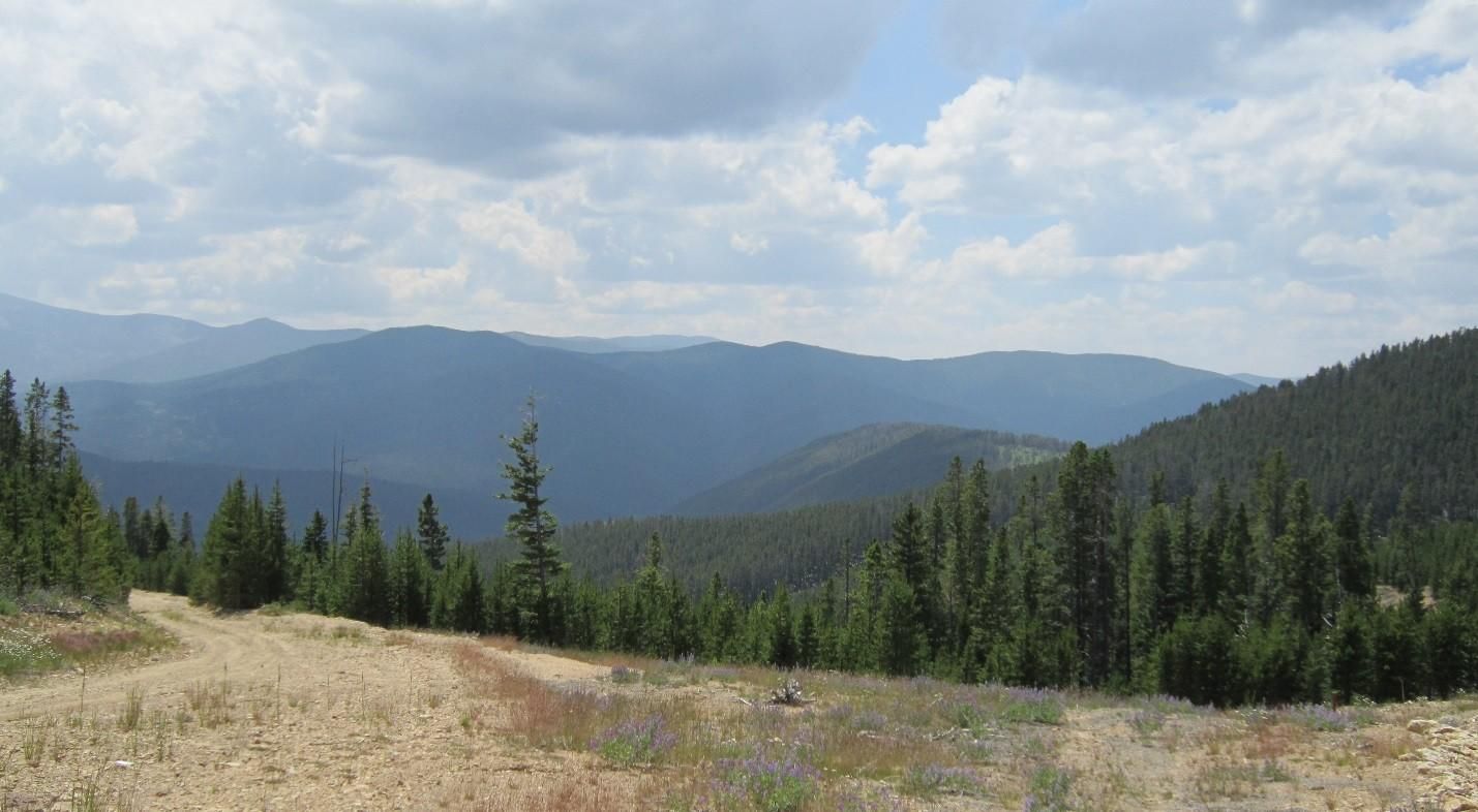 115 acres in Judith Basin County, Montana