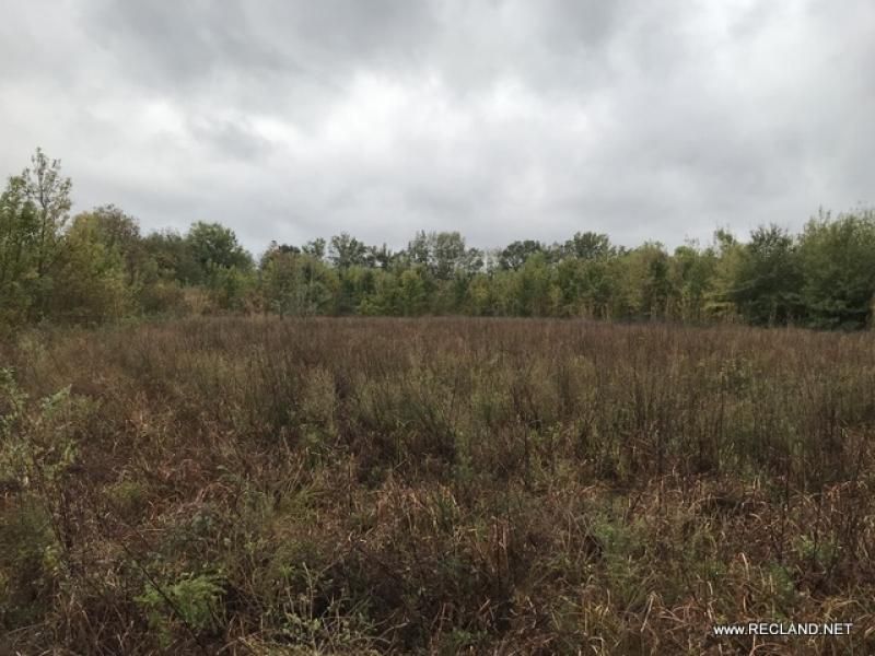 146 acres in East Carroll Parish, Louisiana