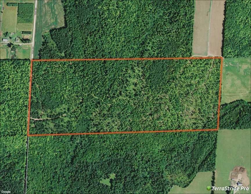 100 acres in Price County, Wisconsin