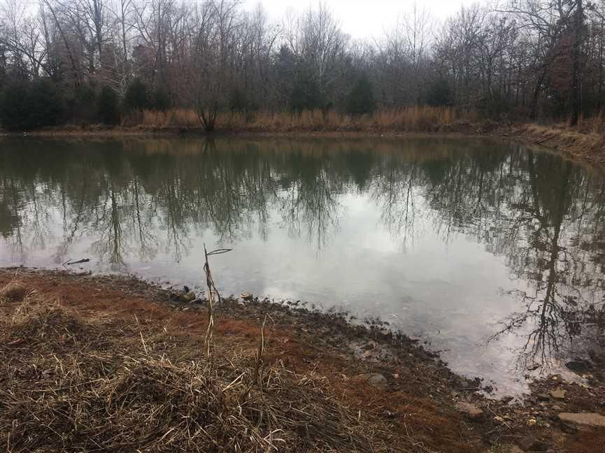 111 acres in Sharp County, Arkansas