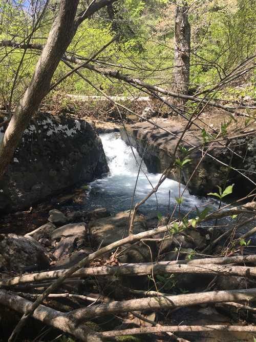 20 acres in Jackson County, Arkansas