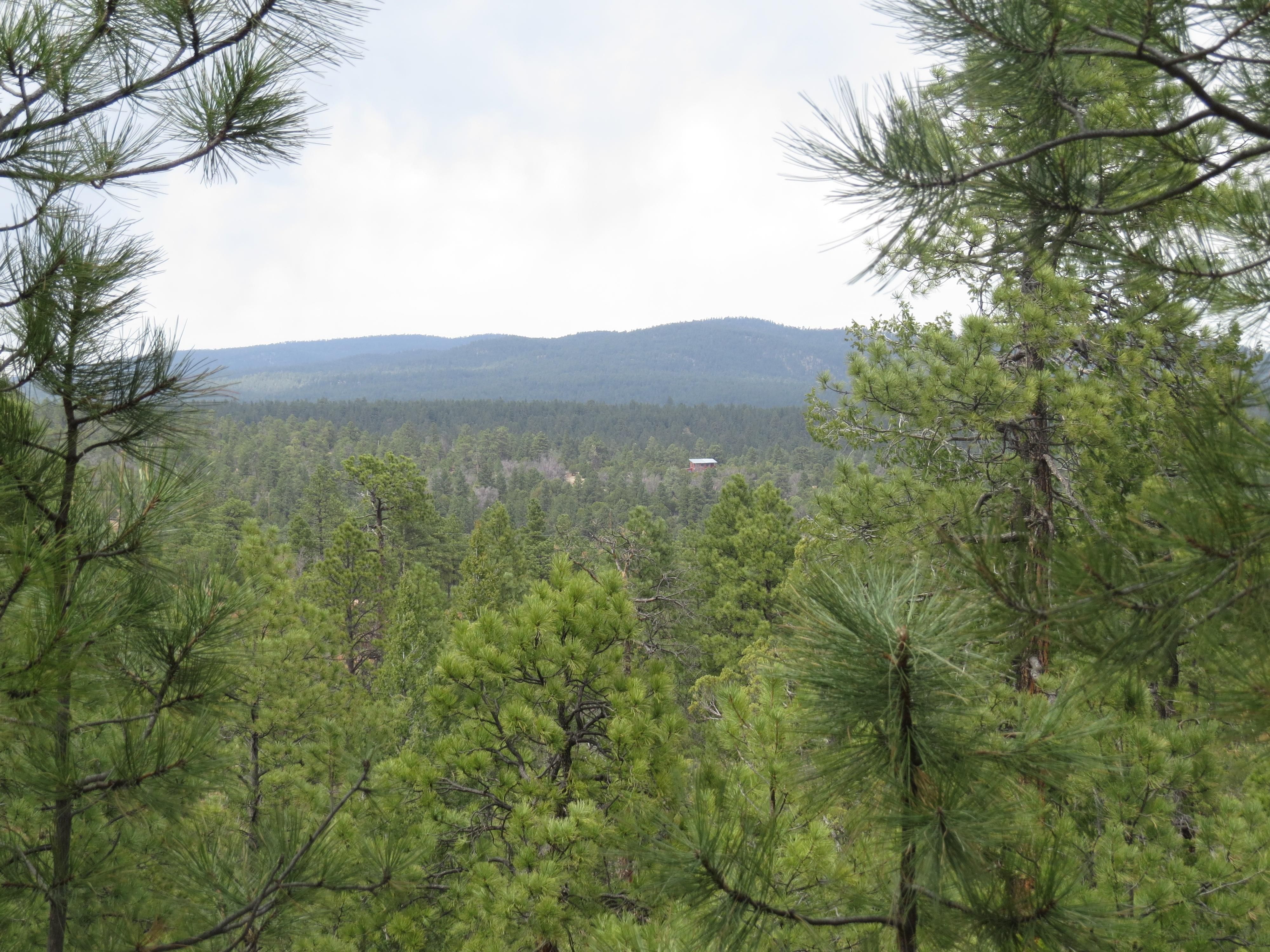 Zuni Canyon Road, Grants, NM 87020 MLS 71627283