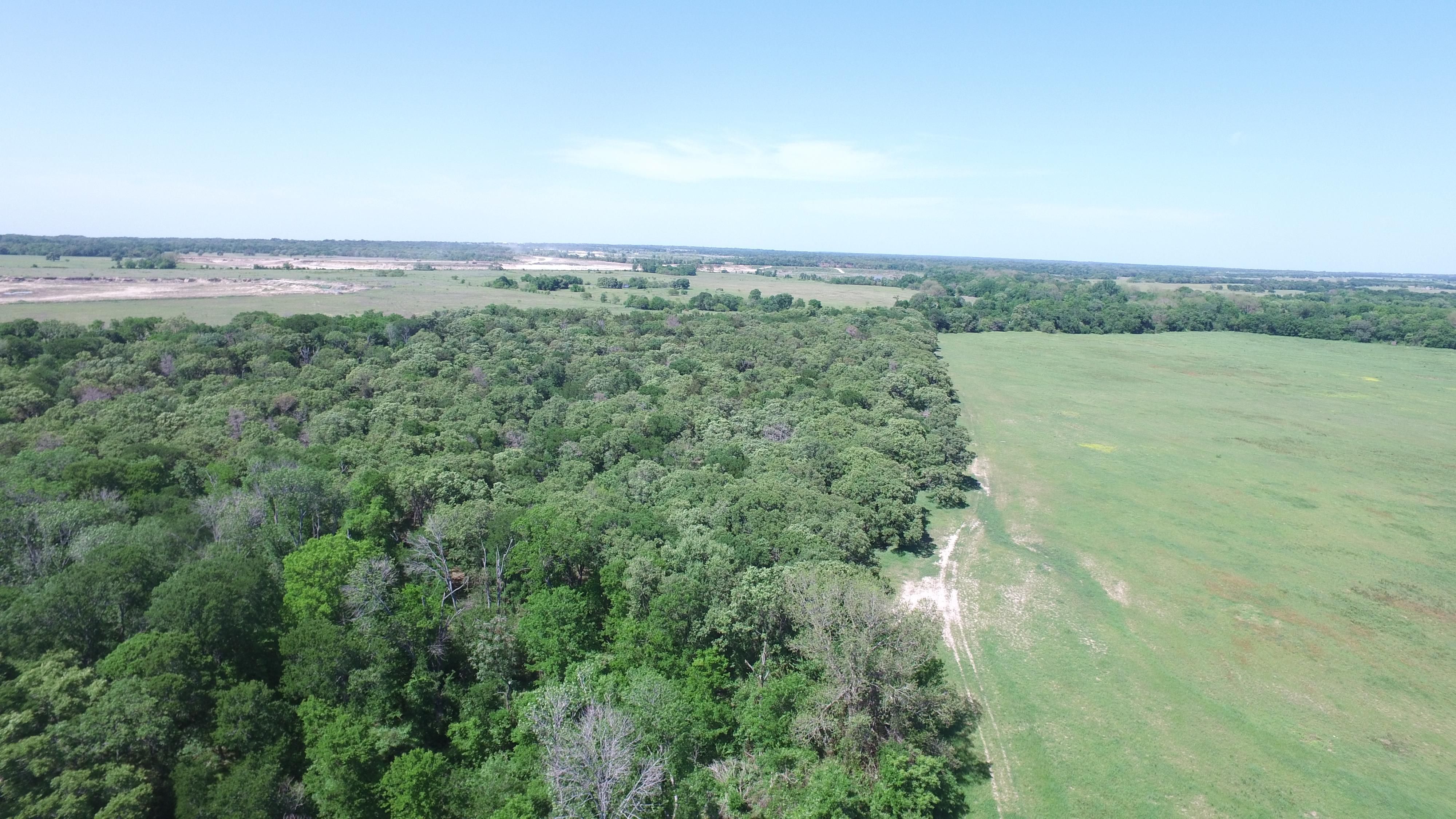 115 acres in Falls County, Texas