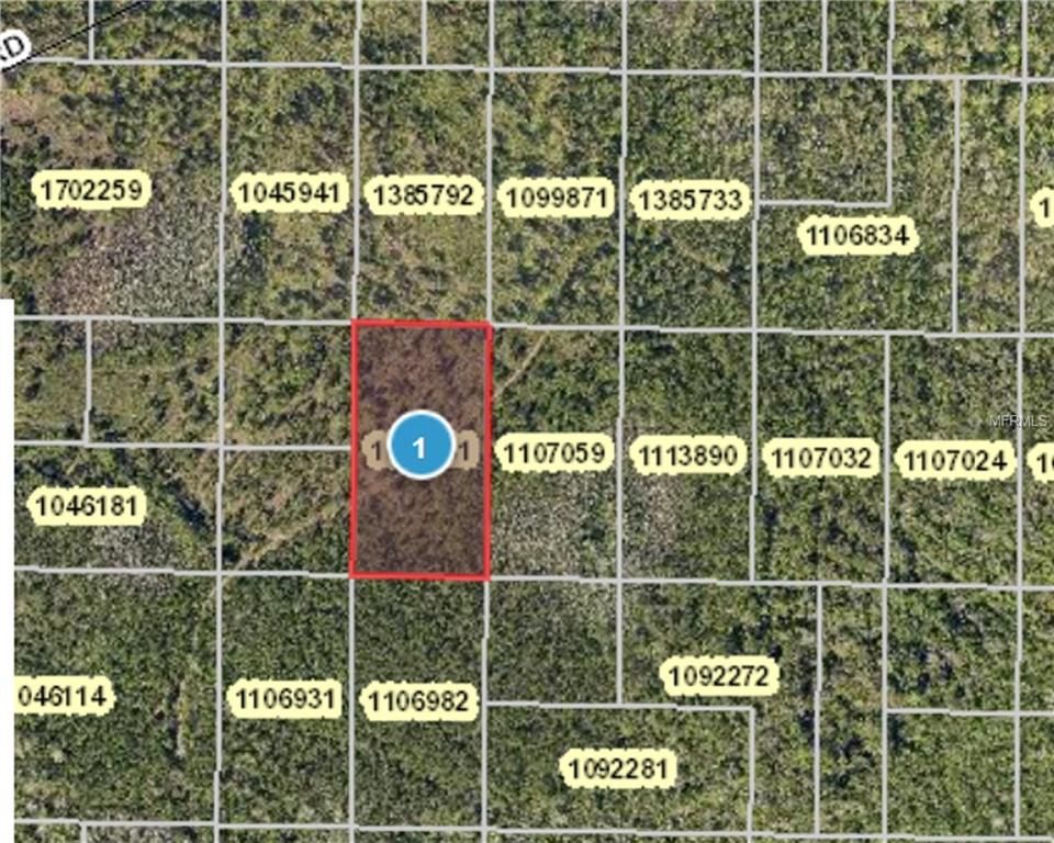 5 acres in Lake County, Florida