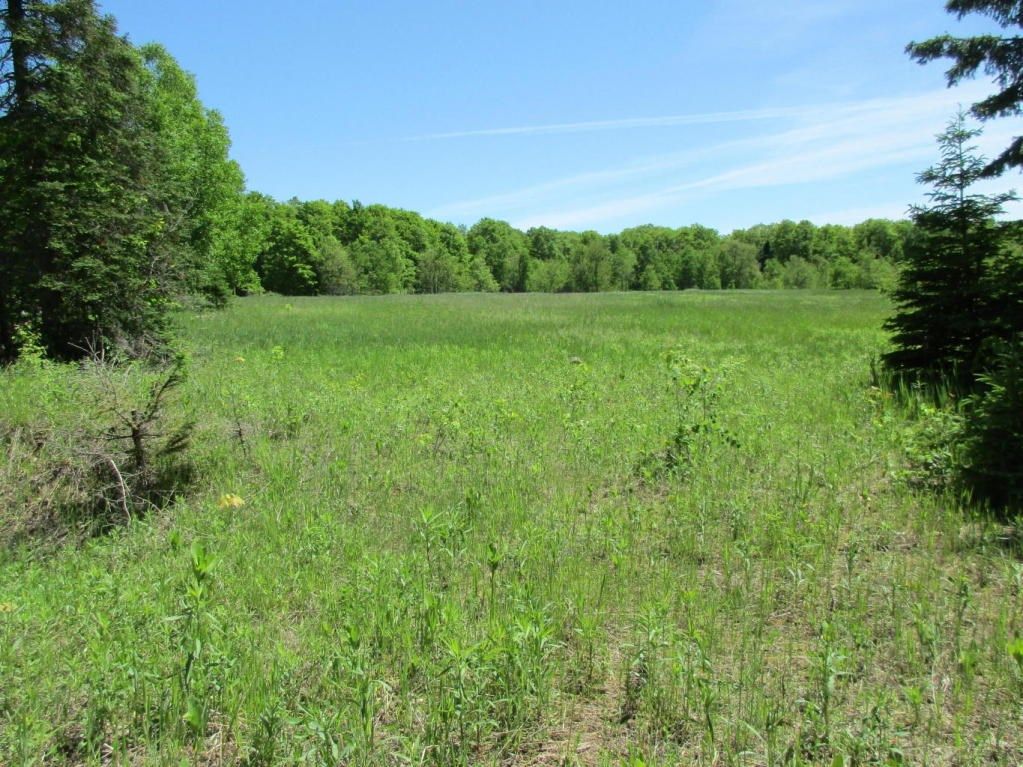 10 acres in Luce County, Michigan