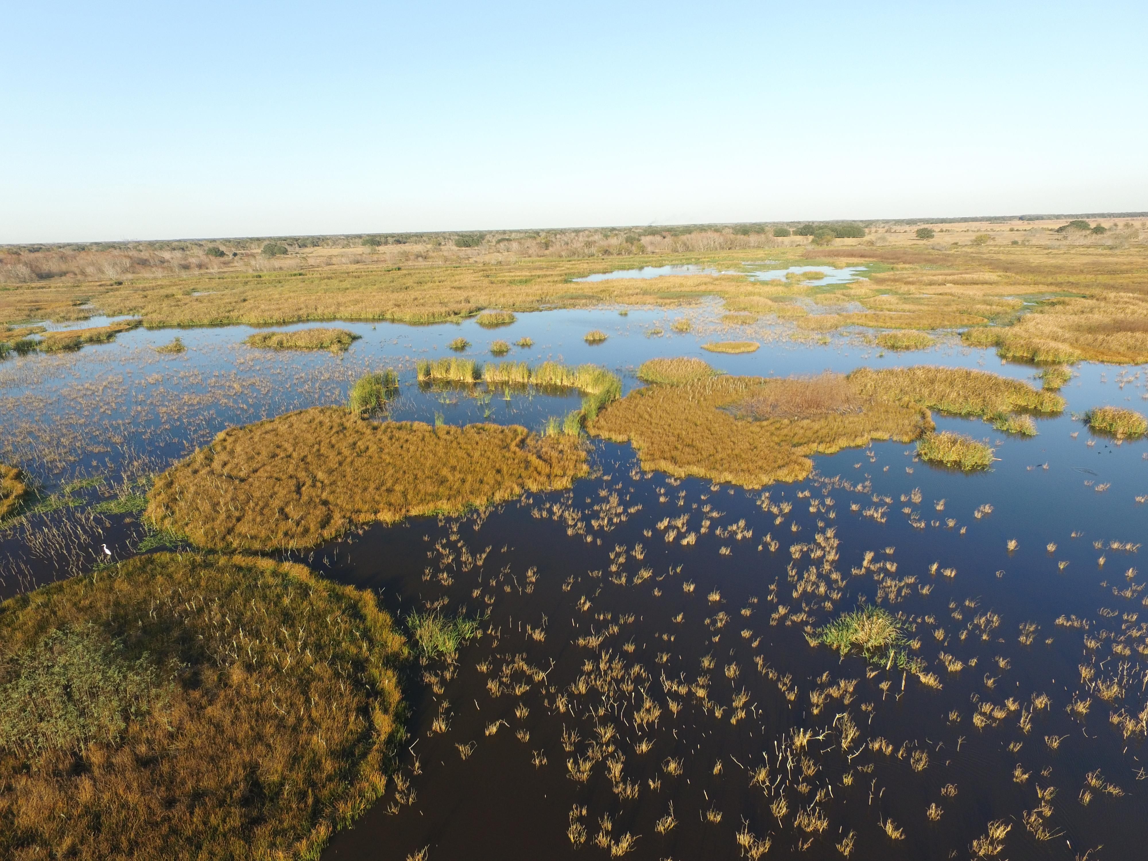 130.13 acres in Brazoria County, Texas