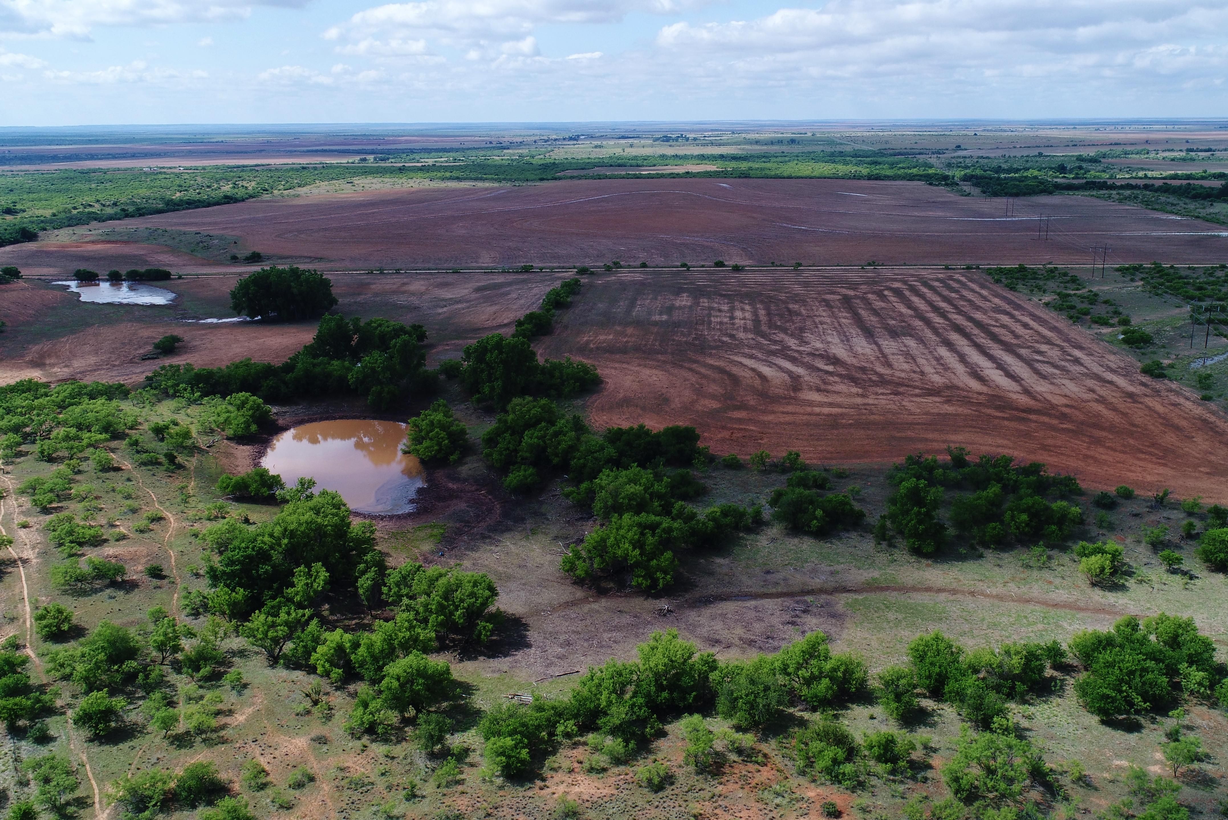 225 acres in Cottle County, Texas